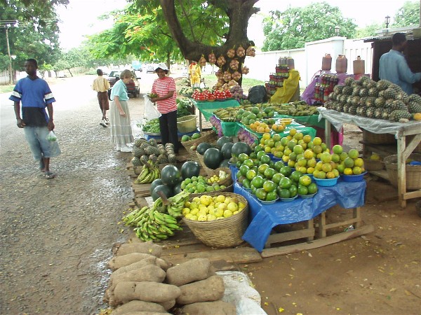 Vegetable and Fruit Stand